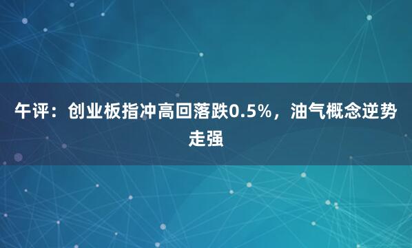 午评：创业板指冲高回落跌0.5%，油气概念逆势走强