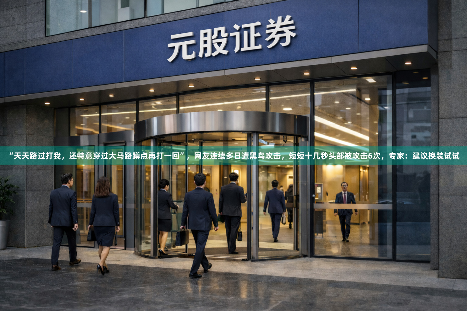 “天天路过打我,还特意穿过大马路蹲点再打一回”,网友连续多日遭黑鸟攻击,短短十几秒头部被攻击6次,专家:建议换装试试