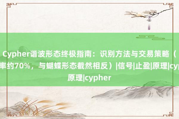 Cypher谐波形态终极指南：识别方法与交易策略（准确率约70%，与蝴蝶形态截然相反）|信号|止盈|原理|cypher