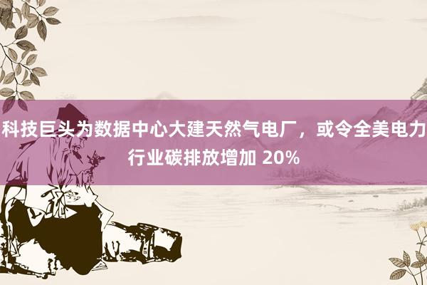 科技巨头为数据中心大建天然气电厂，或令全美电力行业碳排放增加 20%