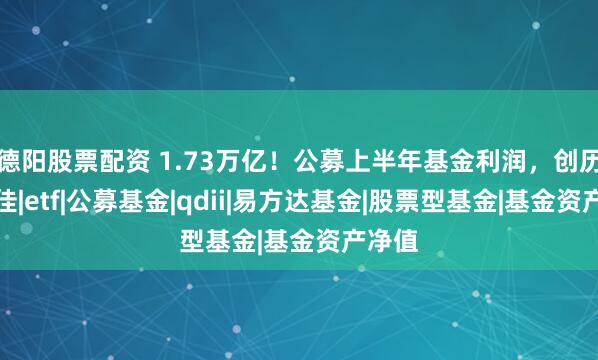 德阳股票配资 1.73万亿！公募上半年基金利润，创历史最佳|etf|公募基金|qdii|易方达基金|股票型基金|基金资产净值
