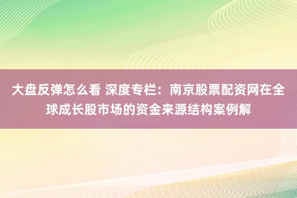 大盘反弹怎么看 深度专栏：南京股票配资网在全球成长股市场的资金来源结构案例解