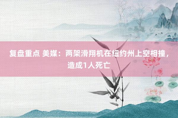 复盘重点 美媒：两架滑翔机在纽约州上空相撞，造成1人死亡