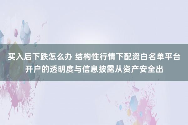 买入后下跌怎么办 结构性行情下配资白名单平台开户的透明度与信息披露从资产安全出