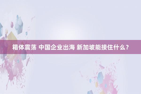 箱体震荡 中国企业出海 新加坡能接住什么？