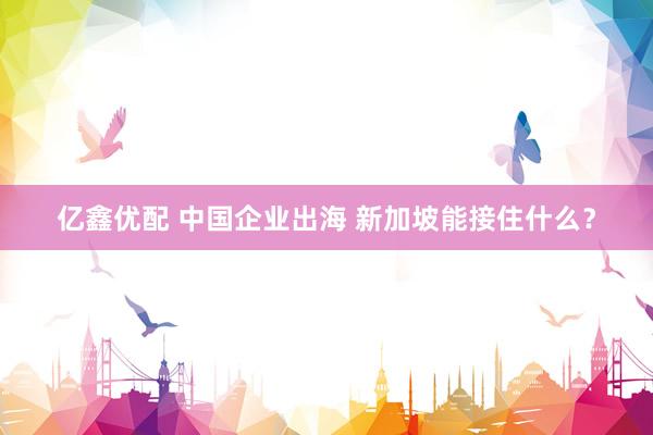 亿鑫优配 中国企业出海 新加坡能接住什么？