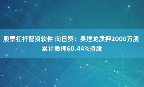 股票杠杆配资软件 向日葵：吴建龙质押2000万股 累计质押60.44%持股