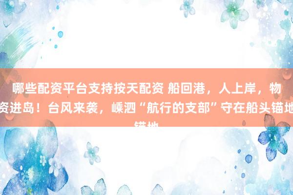 哪些配资平台支持按天配资 船回港，人上岸，物资进岛！台风来袭，嵊泗“航行的支部”守在船头锚地