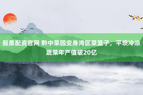 股票配资官网 黔中菜园变身湾区菜篮子，平坝冷凉蔬菜年产值破20亿